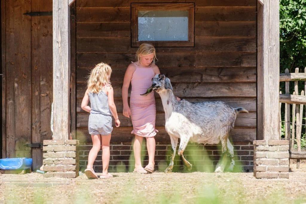 Camping De Pallegarste Chalet 119 Marienberg Εξωτερικό φωτογραφία